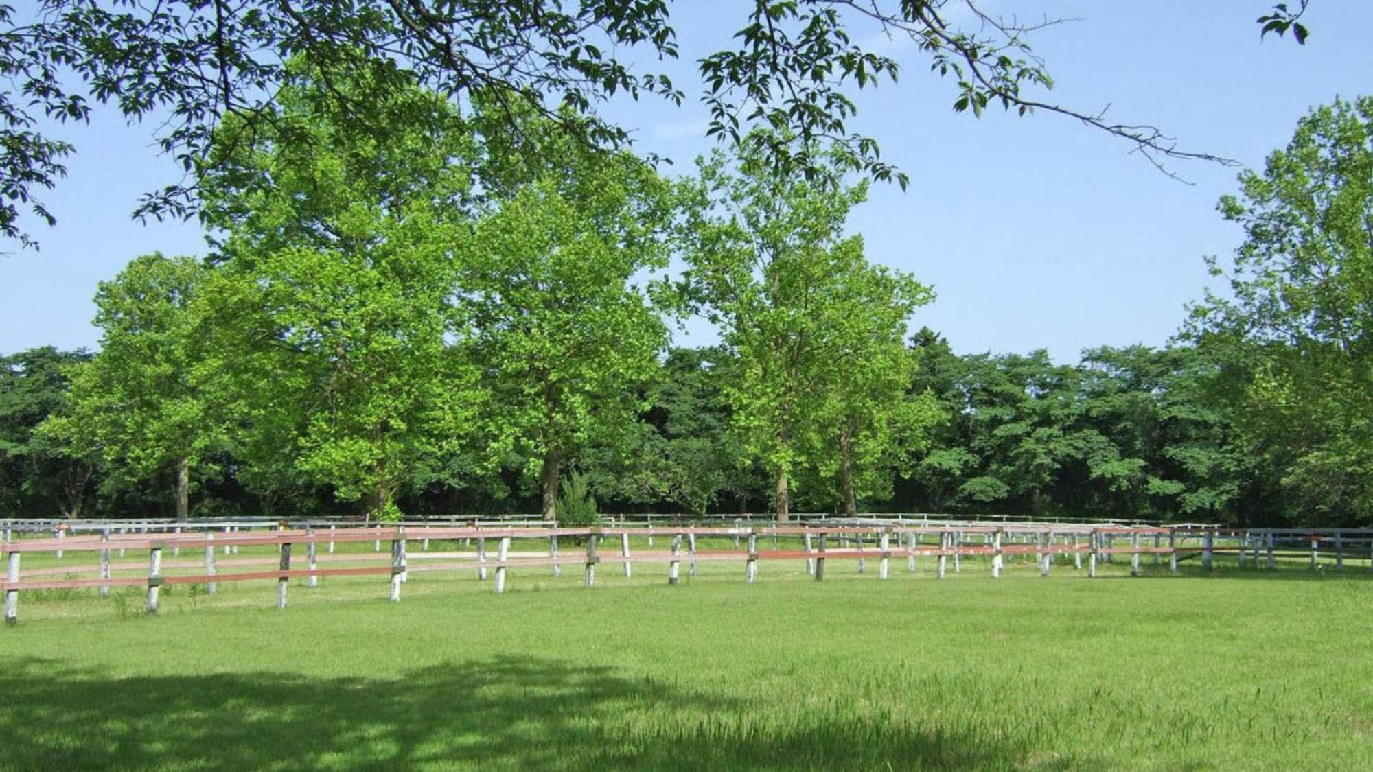 Inzai Toyoko Inn Imba Nihon-Idai Ekimae المظهر الخارجي الصورة